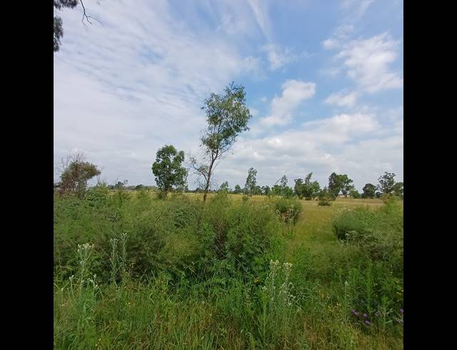 87,023M² VACANT LAND FOR SALE IN OPHIR AH